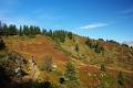 7 Gipfel Wanderung Flumserberg 'Heusee - Gross Gueslen 1833m' (36)